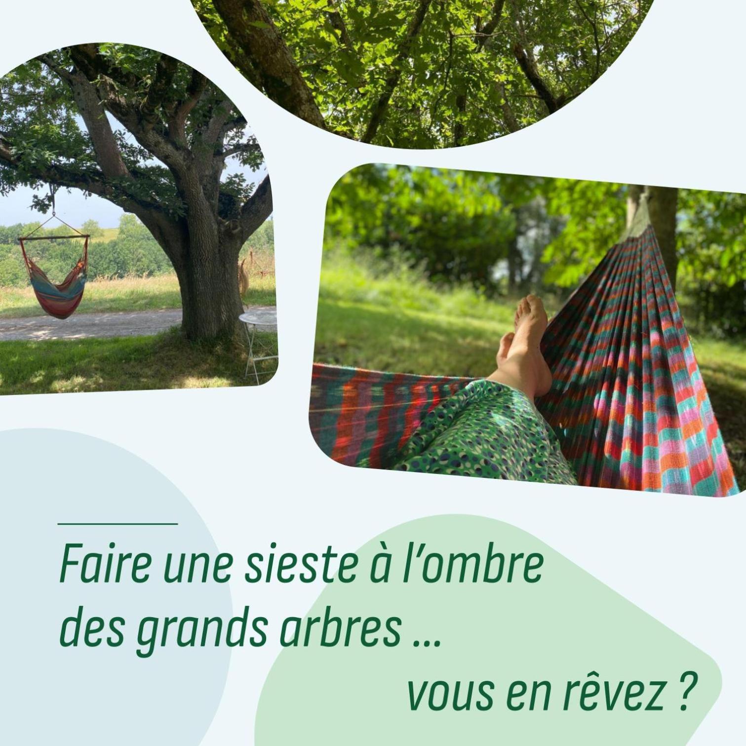 Le Repaire De La Reveuse Bed & Breakfast Saint-Frajou Exterior foto