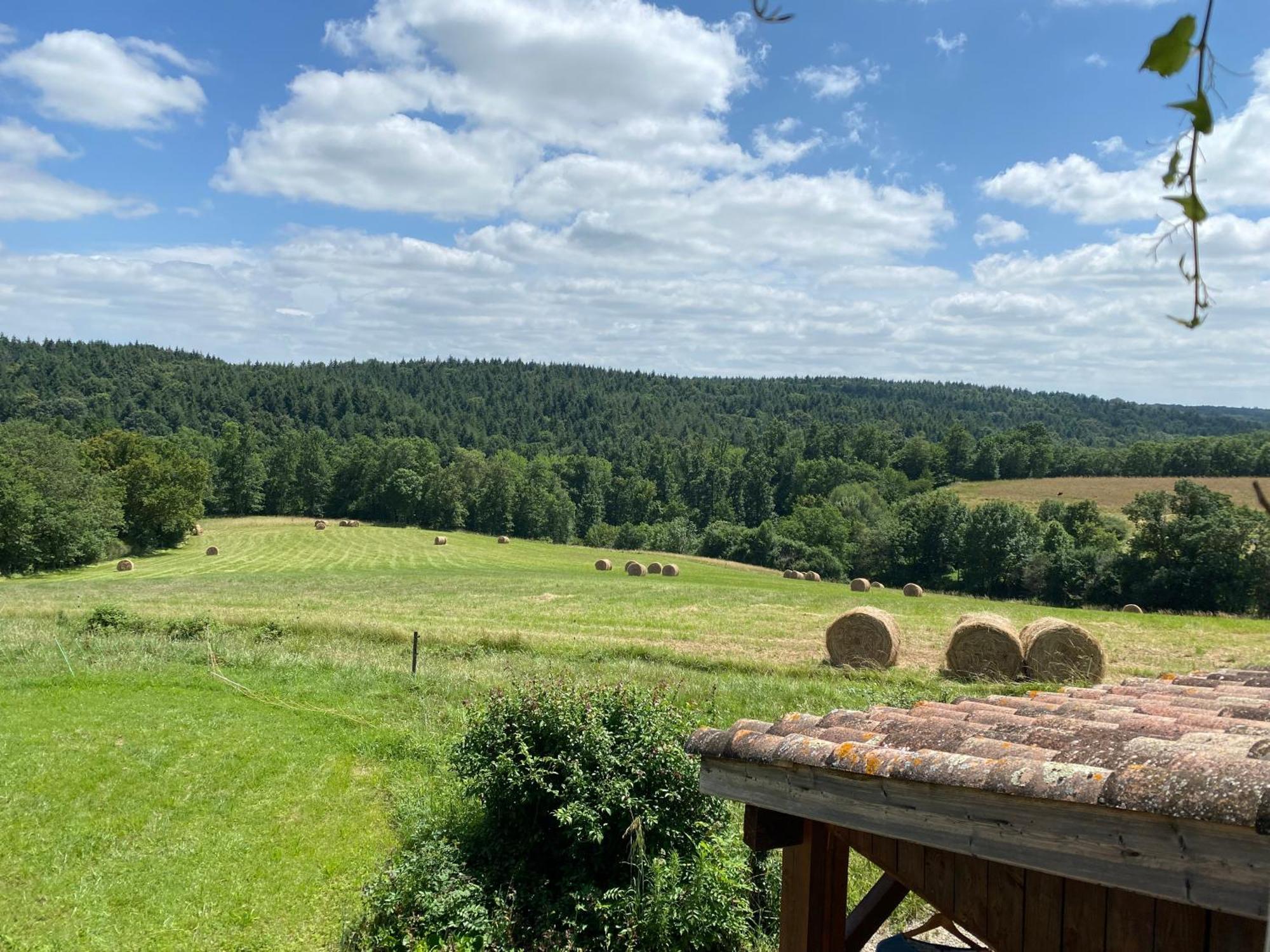 Le Repaire De La Reveuse Bed & Breakfast Saint-Frajou Cameră foto